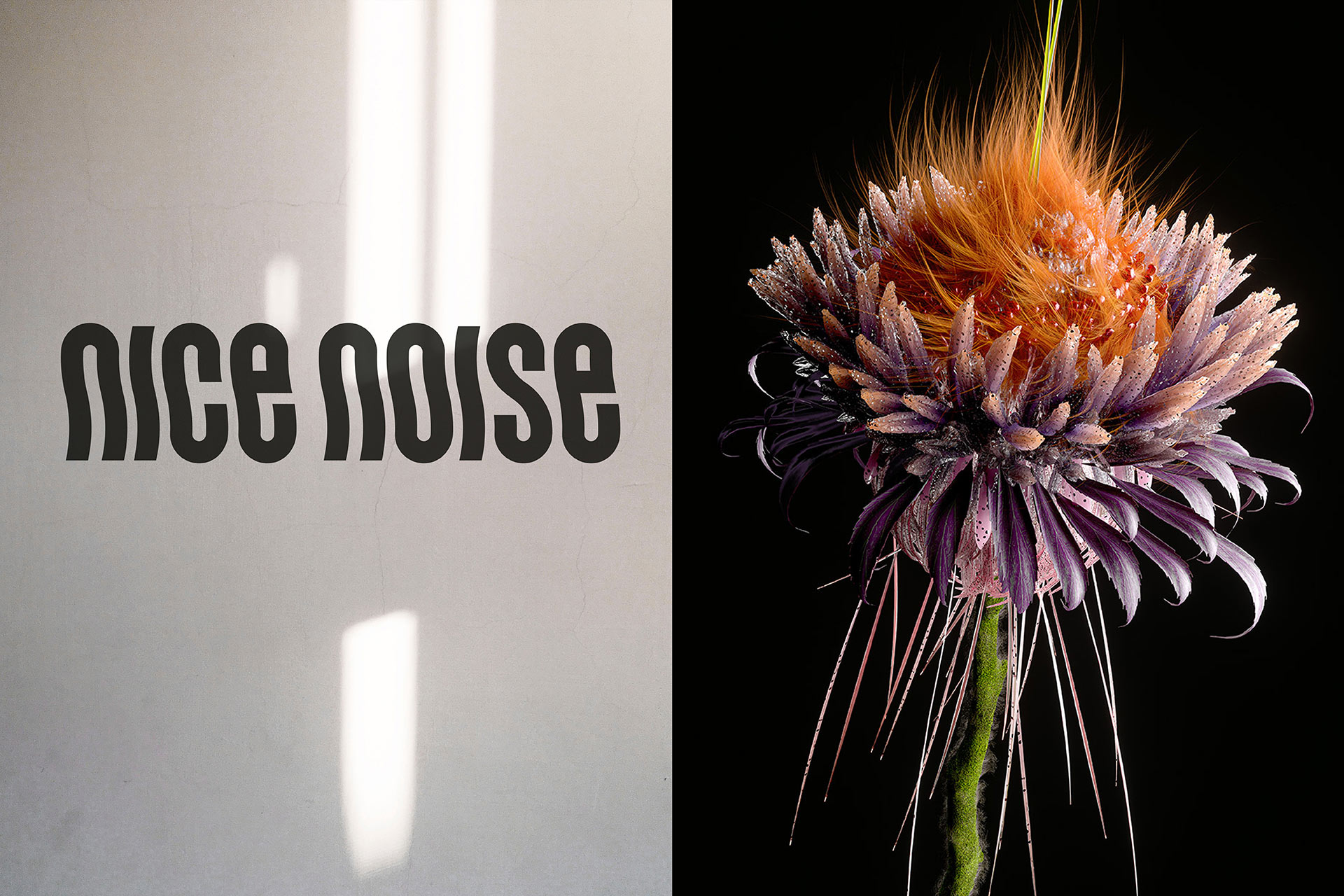 Nice Noise Logo Flower